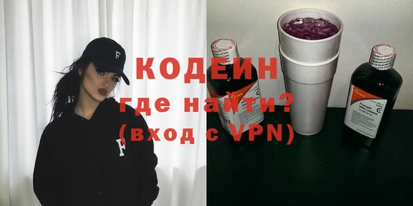 индика Арсеньев