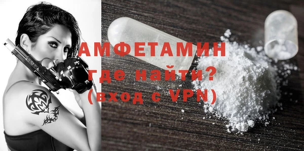 индика Арсеньев