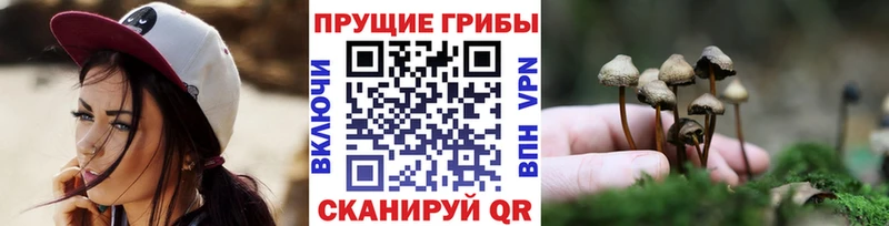 что такое   Лесосибирск  Псилоцибиновые грибы MAGIC MUSHROOMS 