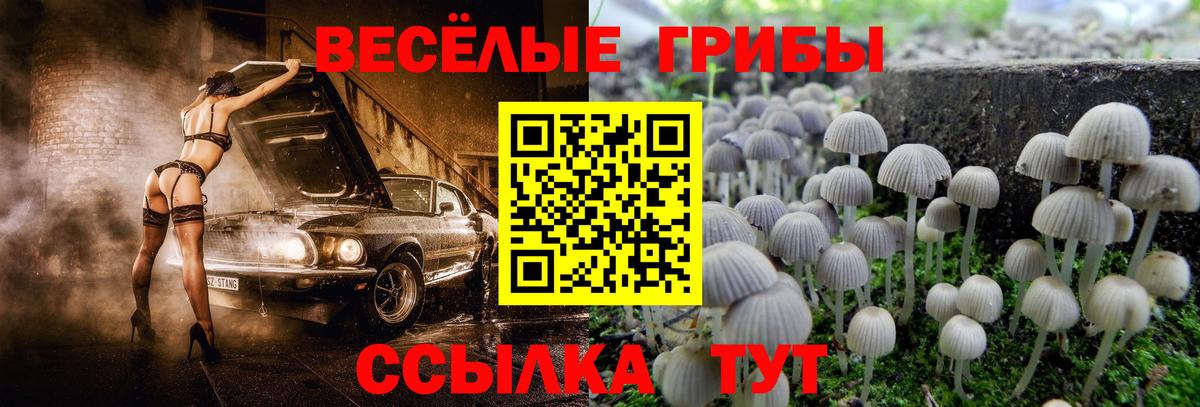 Лесосибирск  Галлюциногенные грибы мухоморы  дарнет шоп  Вход с VPN 